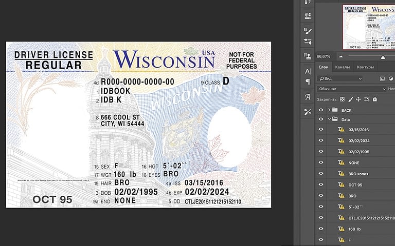 Wisconsin Driver License USA