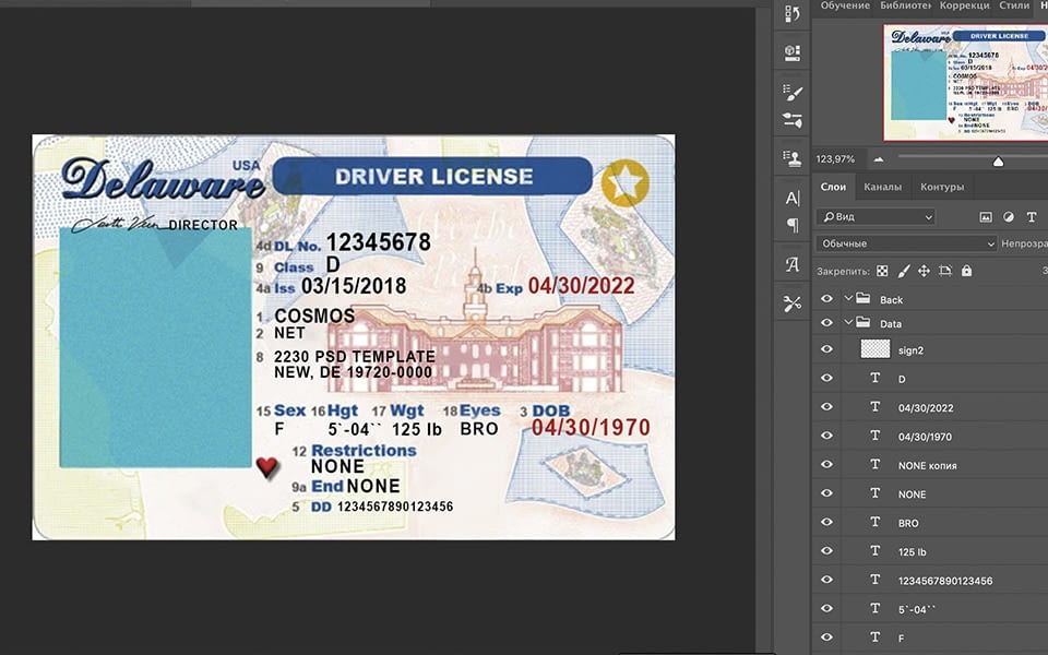 Delaware Driver License USA