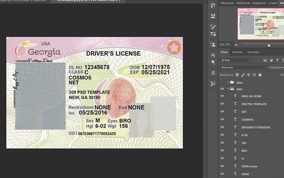 blank georgia drivers license