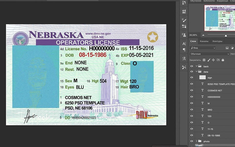 New Nebraska Driver License Usa