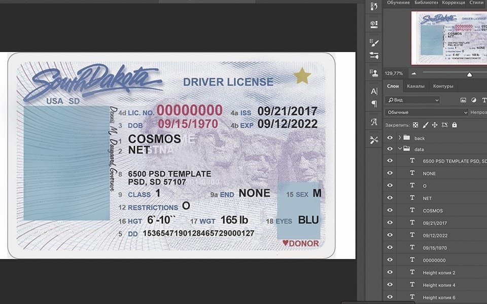 South Dakota Driver License USA