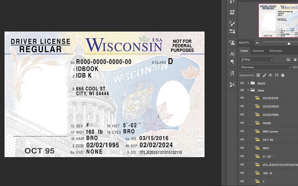 wisconsin-driver-license-usa