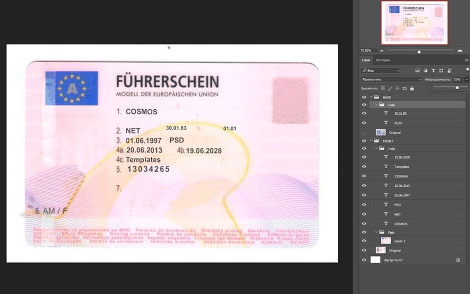 Austria Driver License