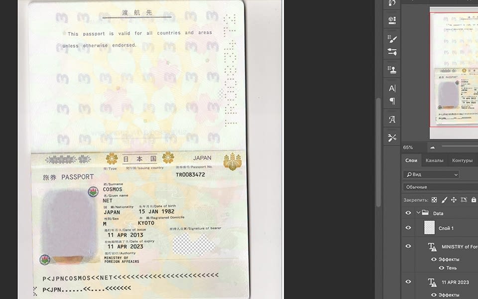 Japan Passport