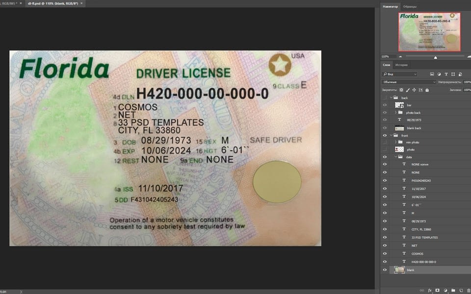 florida driver license.
